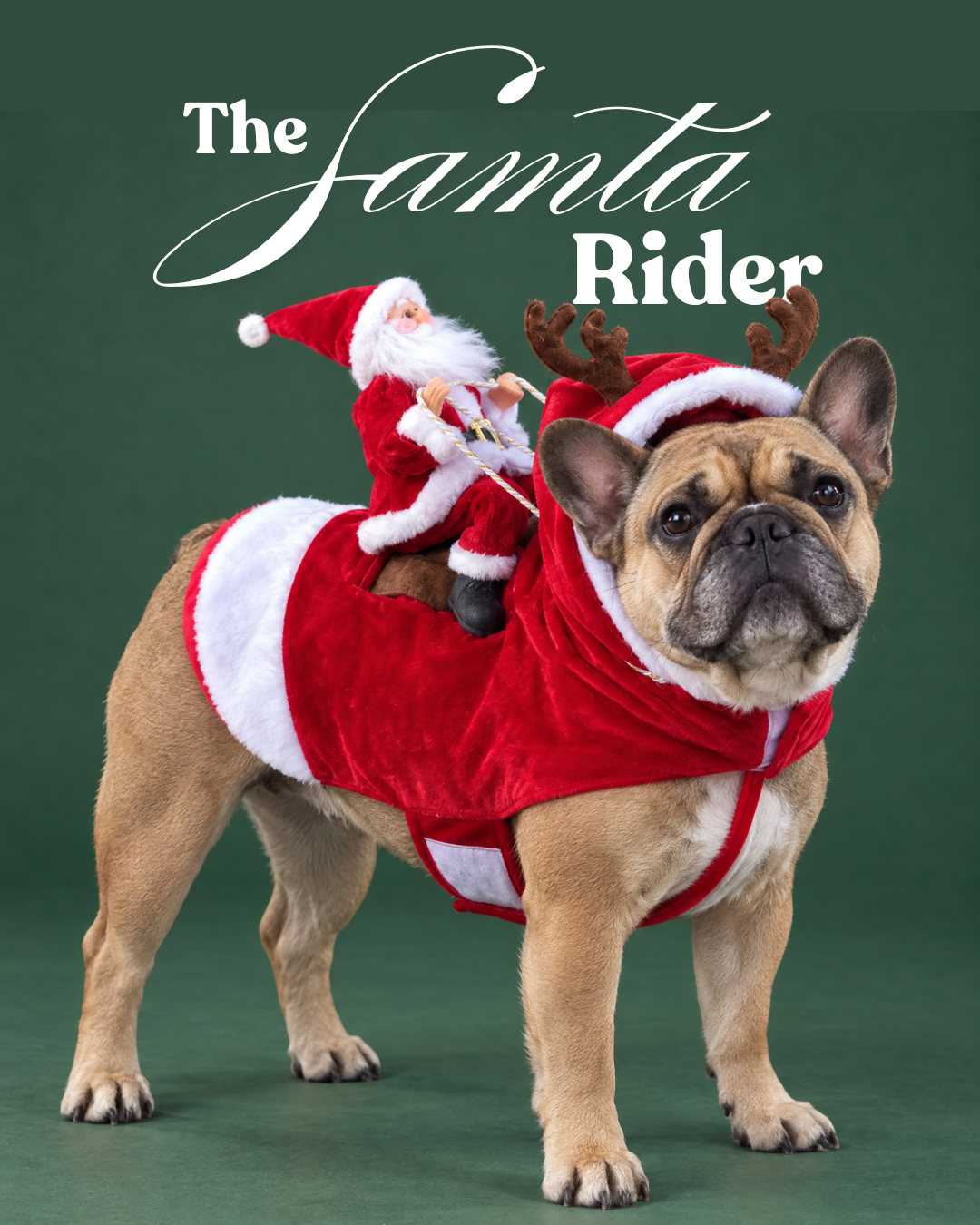 The Santa Rider