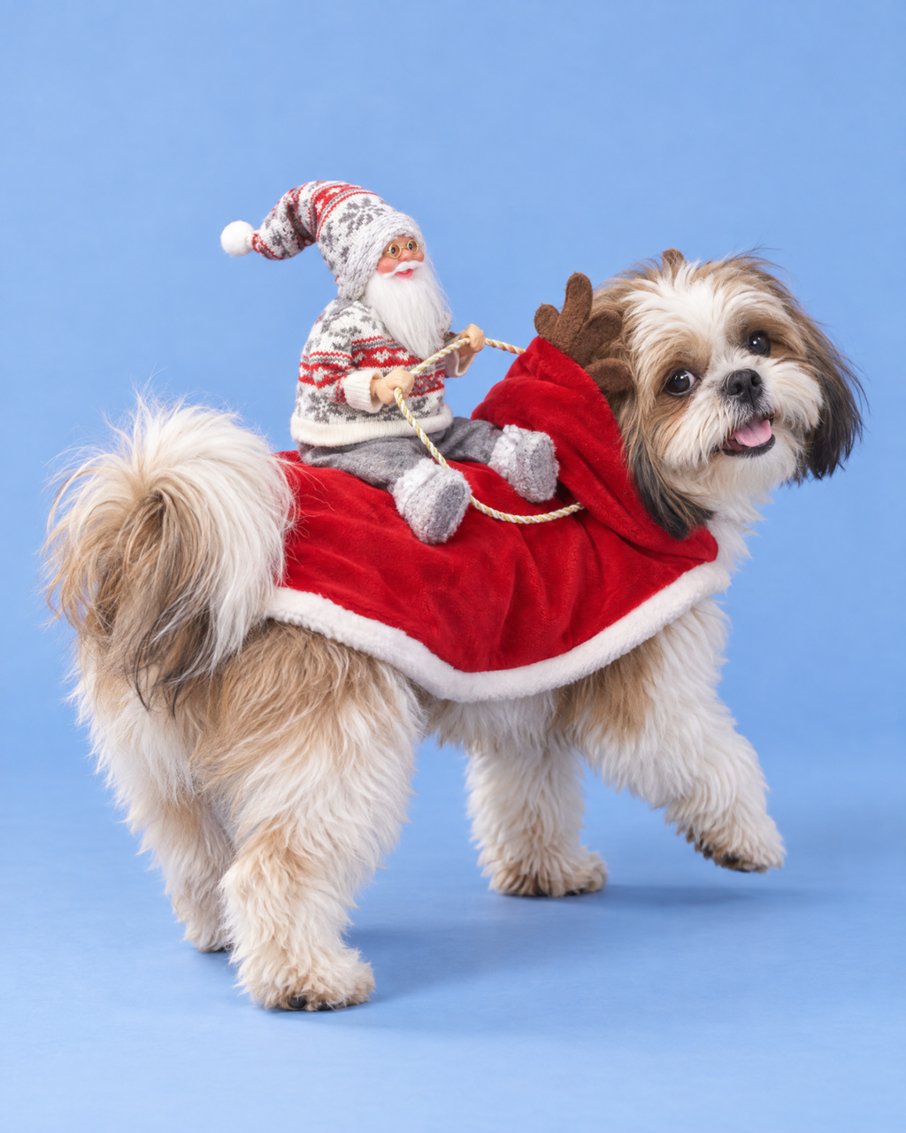 The Santa Rider